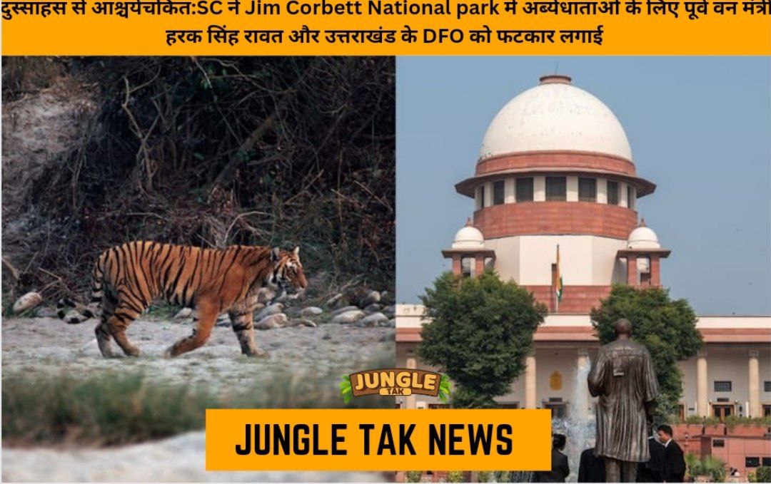 'Amazed At Audacity': SC Slams Ex-Forest Minister Harak Singh Rawat For Damage To Forest, Allows Tigers Safari With Conditions- JUNGLE TAK