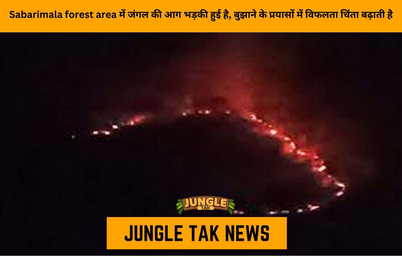 Forest fire rages on in Sabarimala forest area; failure in extinguishing efforts raises concerns- JUNGLE TAK