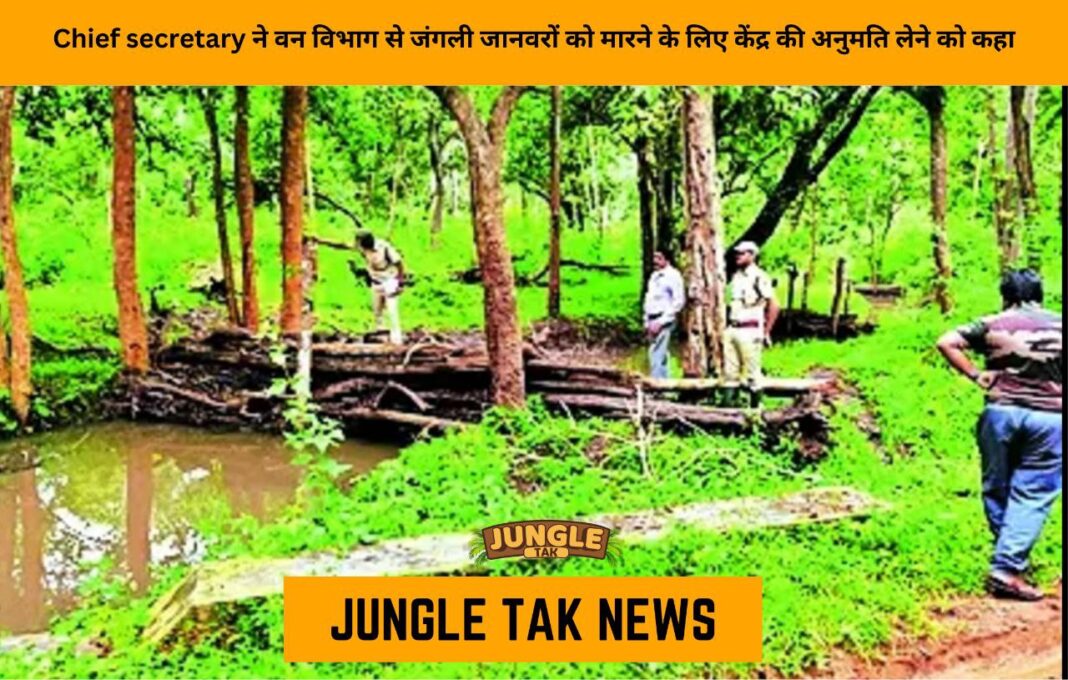Chief secy asks forest dept to seek Centre’s nod to kill wild animals- JUNGLE TAK