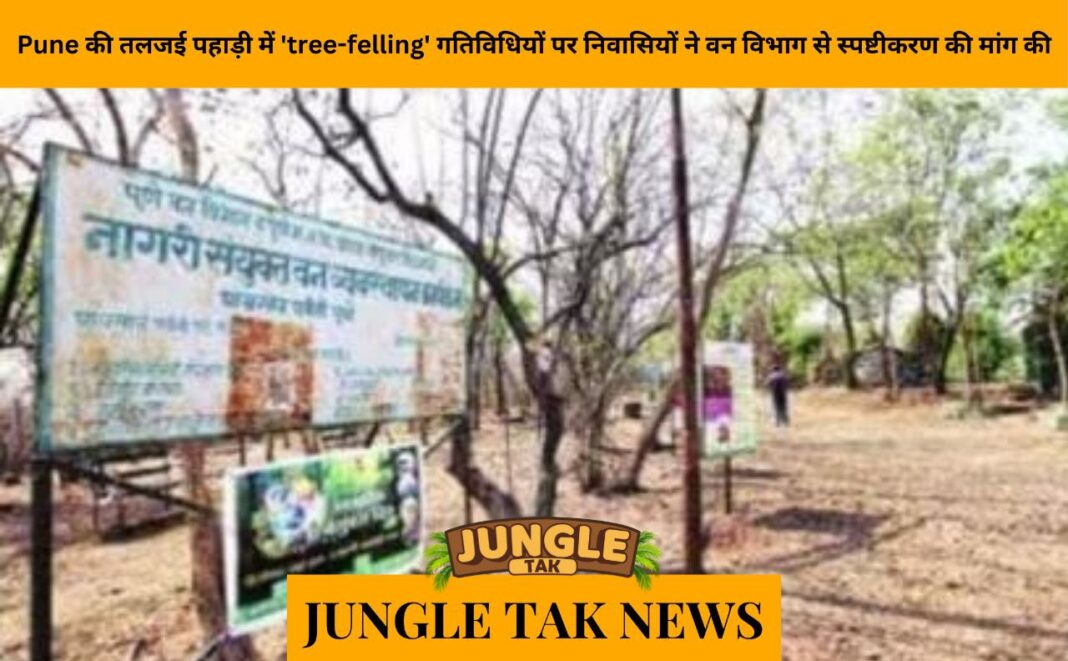 Residents demand explanation from forest dept on ‘tree-felling’ activities in Pune’s Taljai hill- JUNGLE TAK
