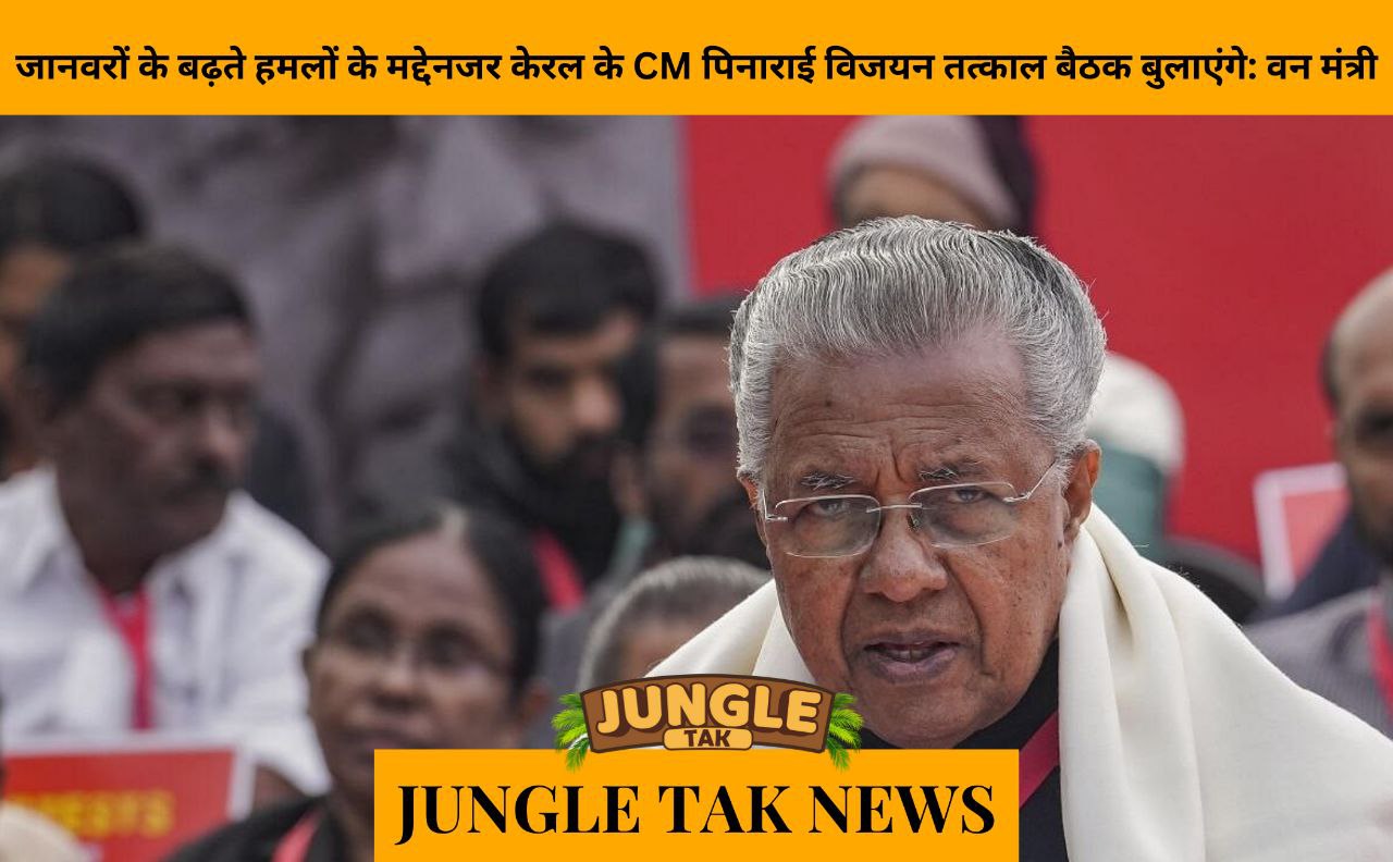 Kerala CM Pinarayi Vijayan to hold urgent meeting in view of rising animal attacks; JUNGLE TAK