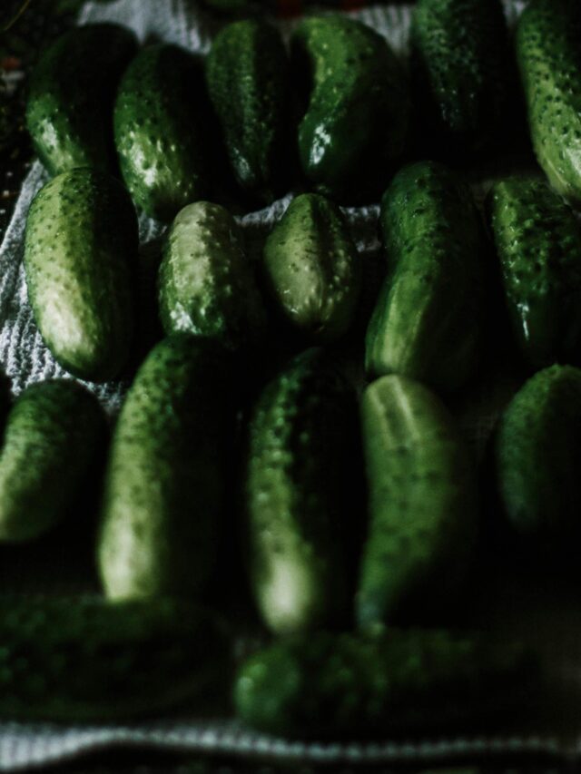 cool facts about cucumbers!