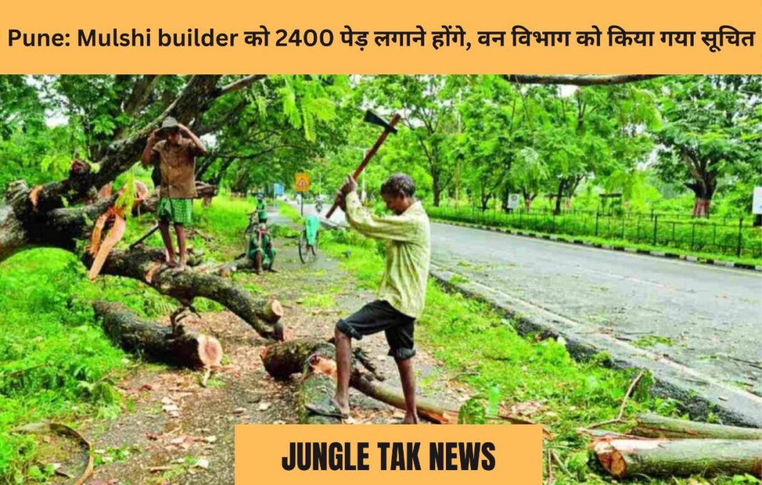 Pune: Mulshi builder को 2400 पेड़ लगाने होंगे, वन विभाग को सूचित किया गया- JUNGLE TAK