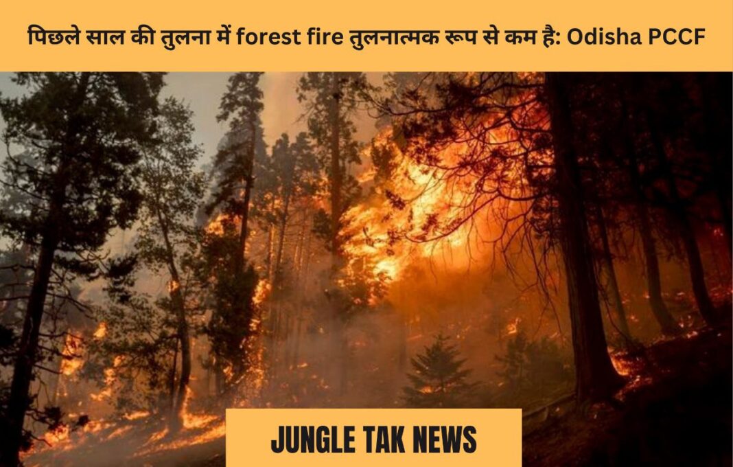 पिछले साल की तुलना में forest fire तुलनात्मक रूप से कम है: Odisha PCCF- JUNGLE TAK