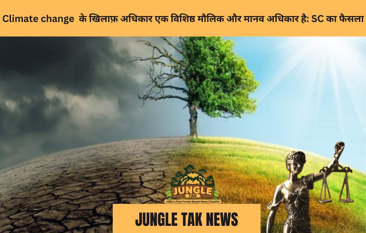 Climate change के खिलाफ अधिकार एक विशिष्ट मौलिक और मानव अधिकार है, सुप्रीम कोर्ट का फैसला- JUNGLE TAK