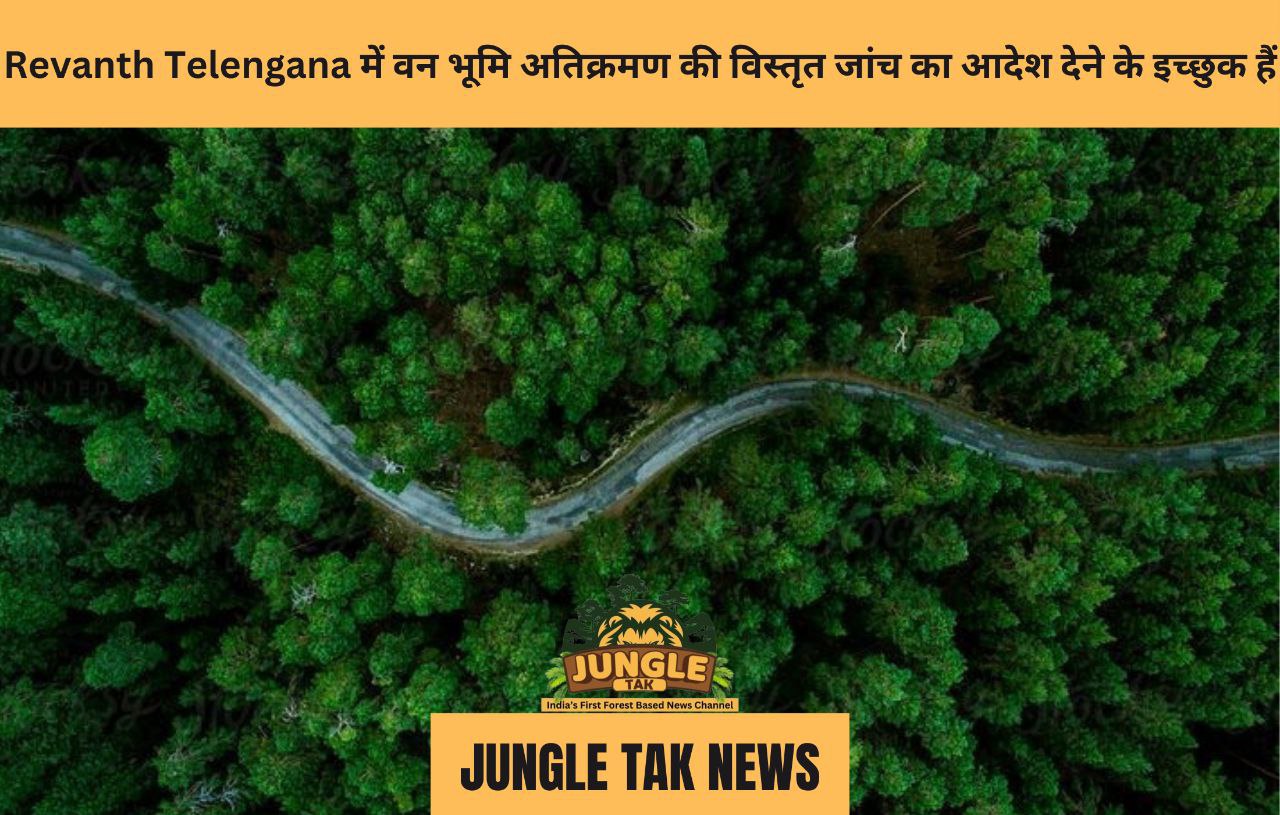 Revanth Telengana में वन भूमि अतिक्रमण की विस्तृत जांच का आदेश देने के इच्छुक हैं- JUNGLE TAK