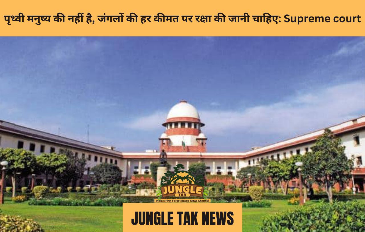 पृथ्वी मनुष्य की नहीं है, जंगलों की हर कीमत पर रक्षा की जानी चाहिए: Supreme court- JUNGLE TAK