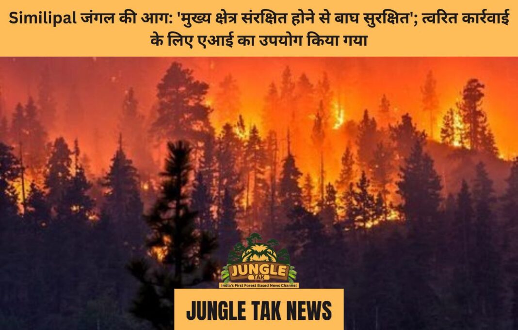 Similipal जंगल की आग: 'मुख्य क्षेत्र संरक्षित होने से बाघ सुरक्षित'; त्वरित कार्रवाई के लिए एआई का उपयोग किया गया- JUNGLE TAK