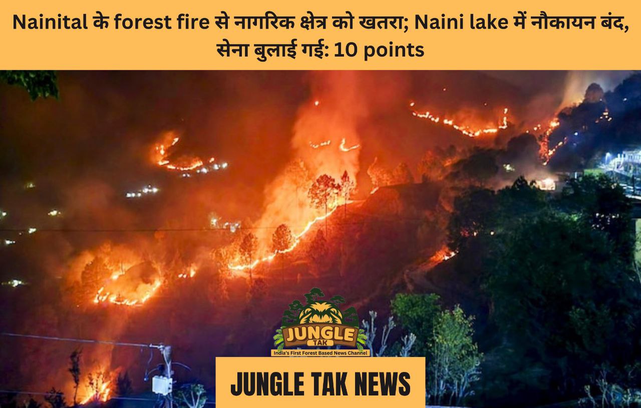 Nainital के forest fire से नागरिक क्षेत्र को खतरा; Naini lake में नौकायन बंद, सेना बुलाई गई: 10 points- JUNGLE TAK