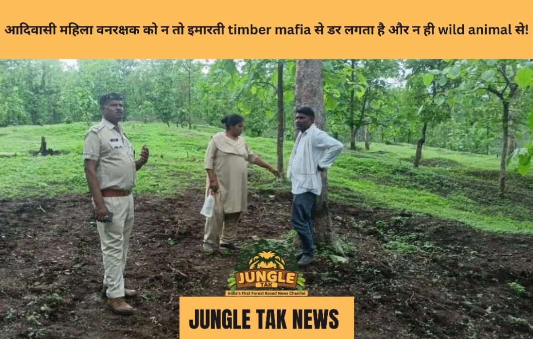 आदिवासी महिला वनरक्षक को न तो इमारती timber mafia से डर लगता है और न ही wild animal से!- JUNGLE TAK
