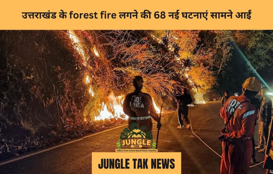 उत्तराखंड के forest fire लगने की 68 नई घटनाएं सामने आईं- JUNGLE TAK