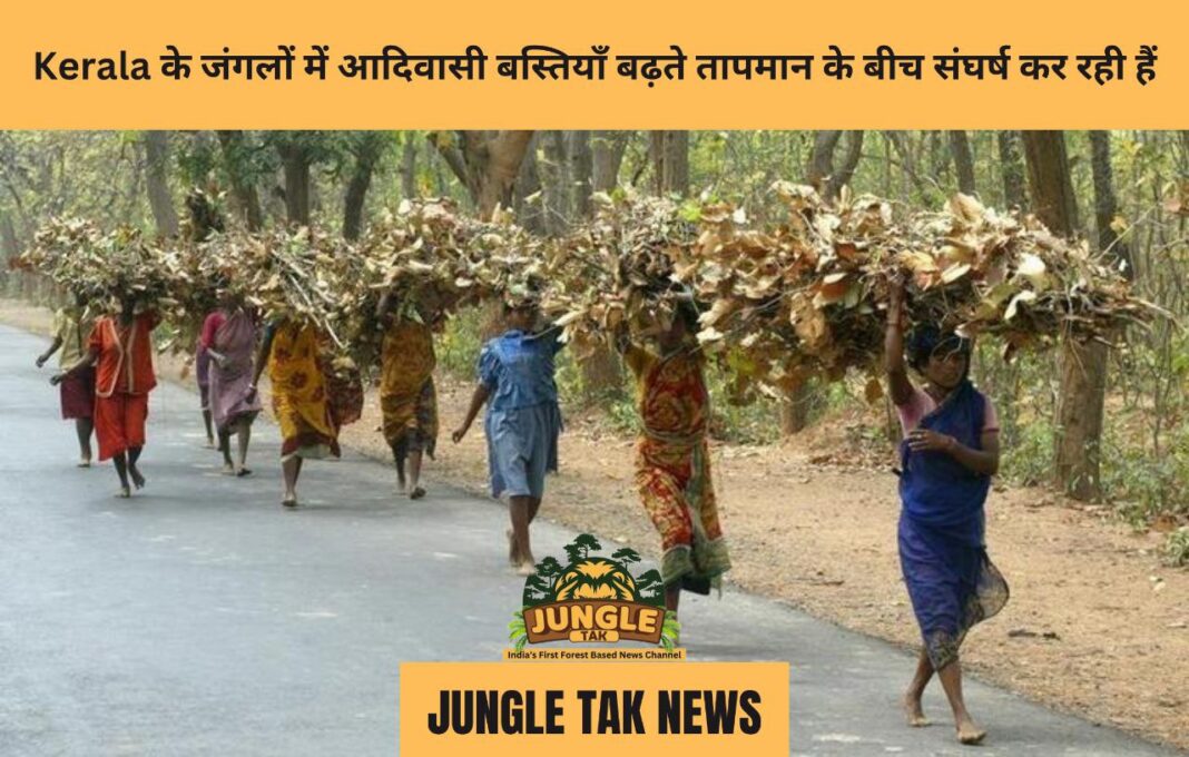 Kerala के जंगलों में आदिवासी बस्तियाँ बढ़ते तापमान के बीच संघर्ष कर रही हैं- JUNGLE TAK