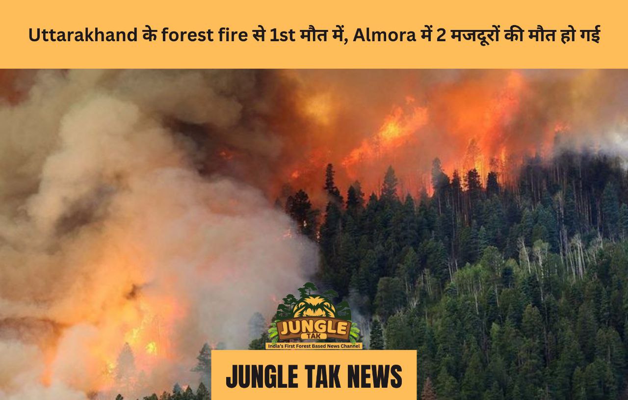 Uttarakhand के forest fire से 1st मौत में, Almora में 2 मजदूरों की मौत हो गई- JUNGLE TAK