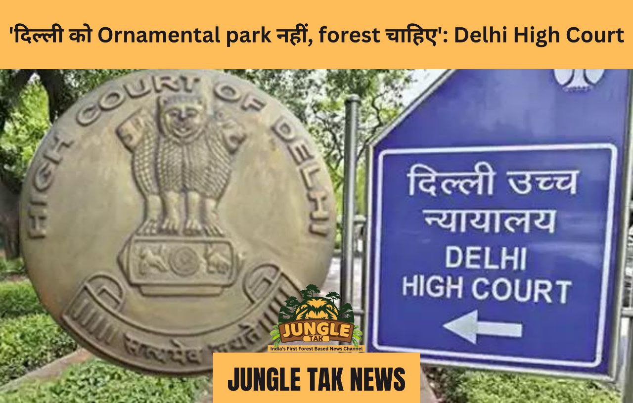 'दिल्ली को Ornamental park नहीं, forest चाहिए': Delhi High Court- JUNGLE TAK