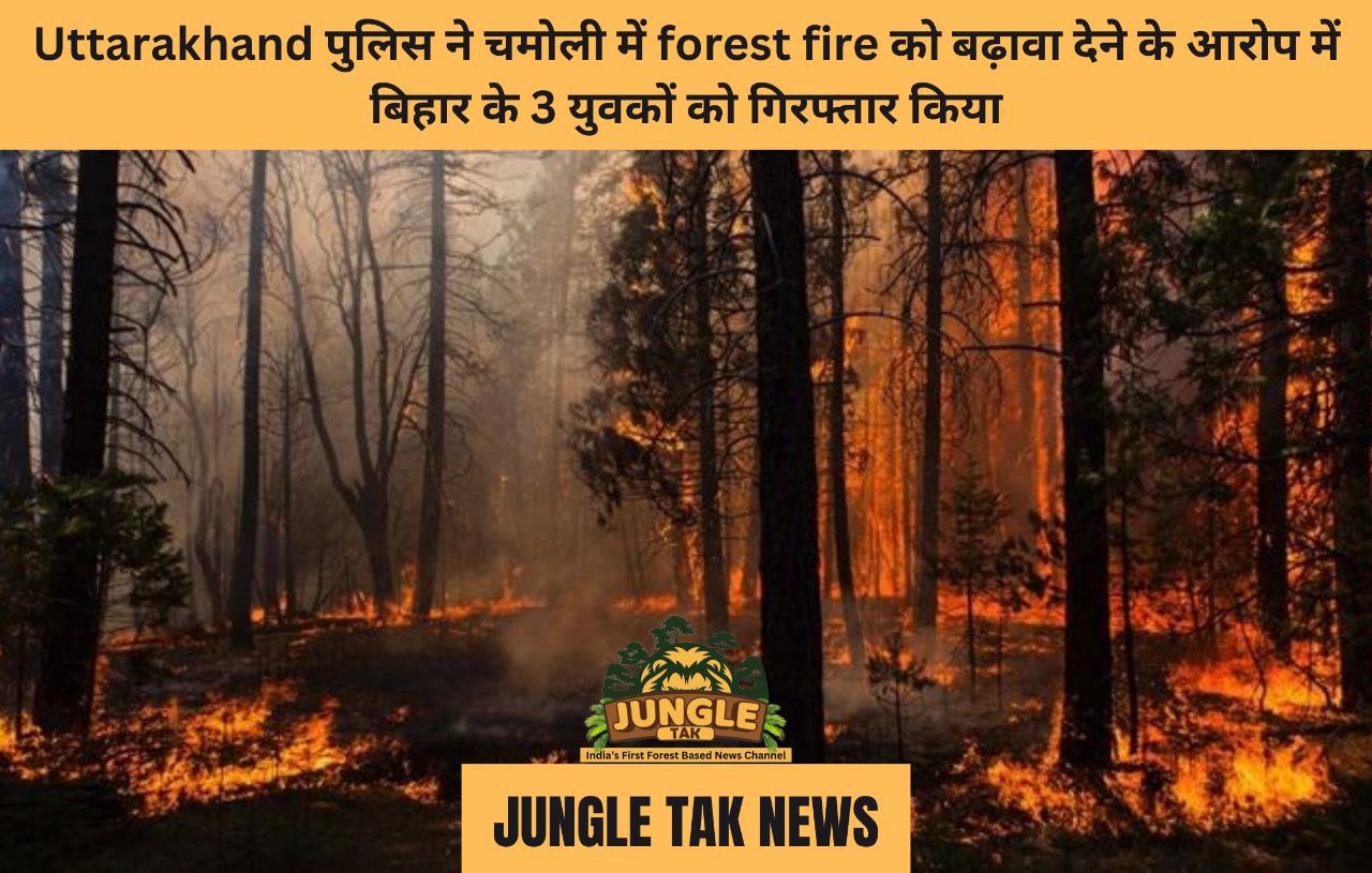 Uttarakhand पुलिस ने चमोली में forest fire को बढ़ावा देने के आरोप में बिहार के 3 युवकों को गिरफ्तार किया- JUNGLE TAK