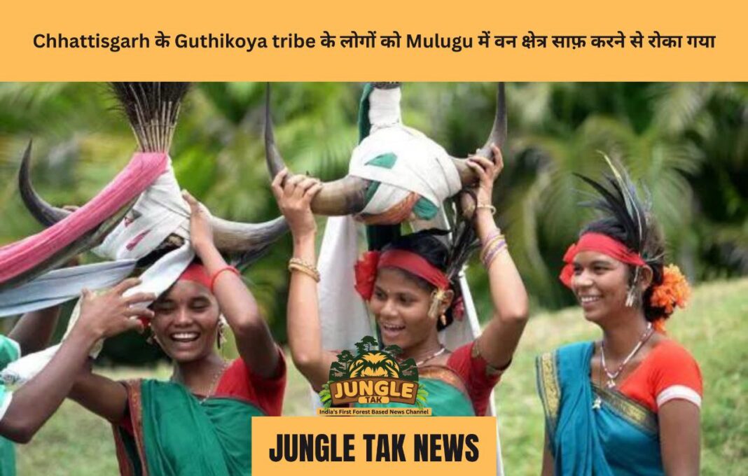 Chhattisgarh के Guthikoya tribe के लोगों को Mulugu में वन क्षेत्र साफ़ करने से रोका गया- JUNGLE TAK