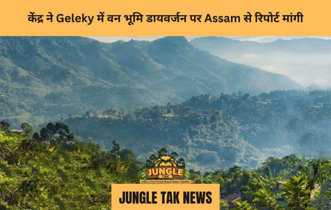 केंद्र ने Geleky में वन भूमि डायवर्जन पर Assam से रिपोर्ट मांगी- JUNGLE TAK