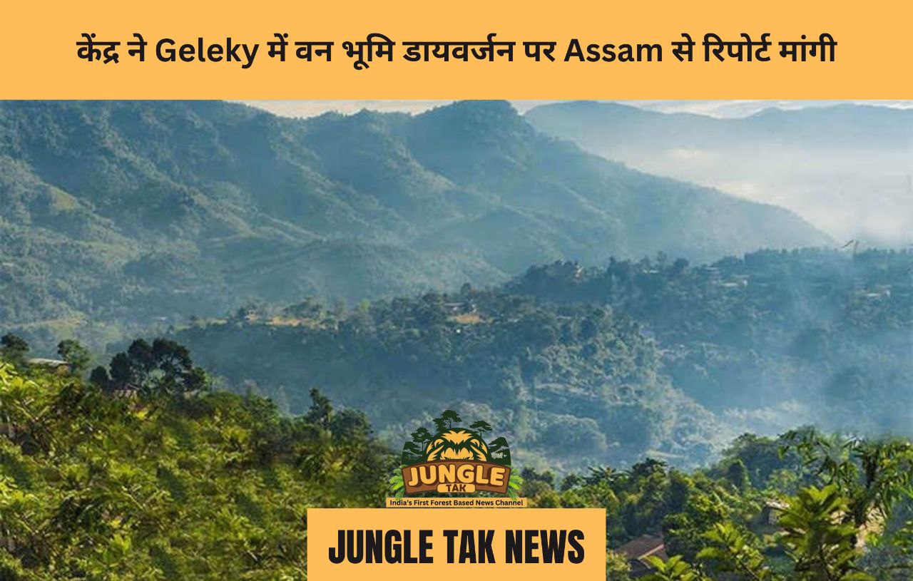 केंद्र ने Geleky में वन भूमि डायवर्जन पर Assam से रिपोर्ट मांगी- JUNGLE TAK