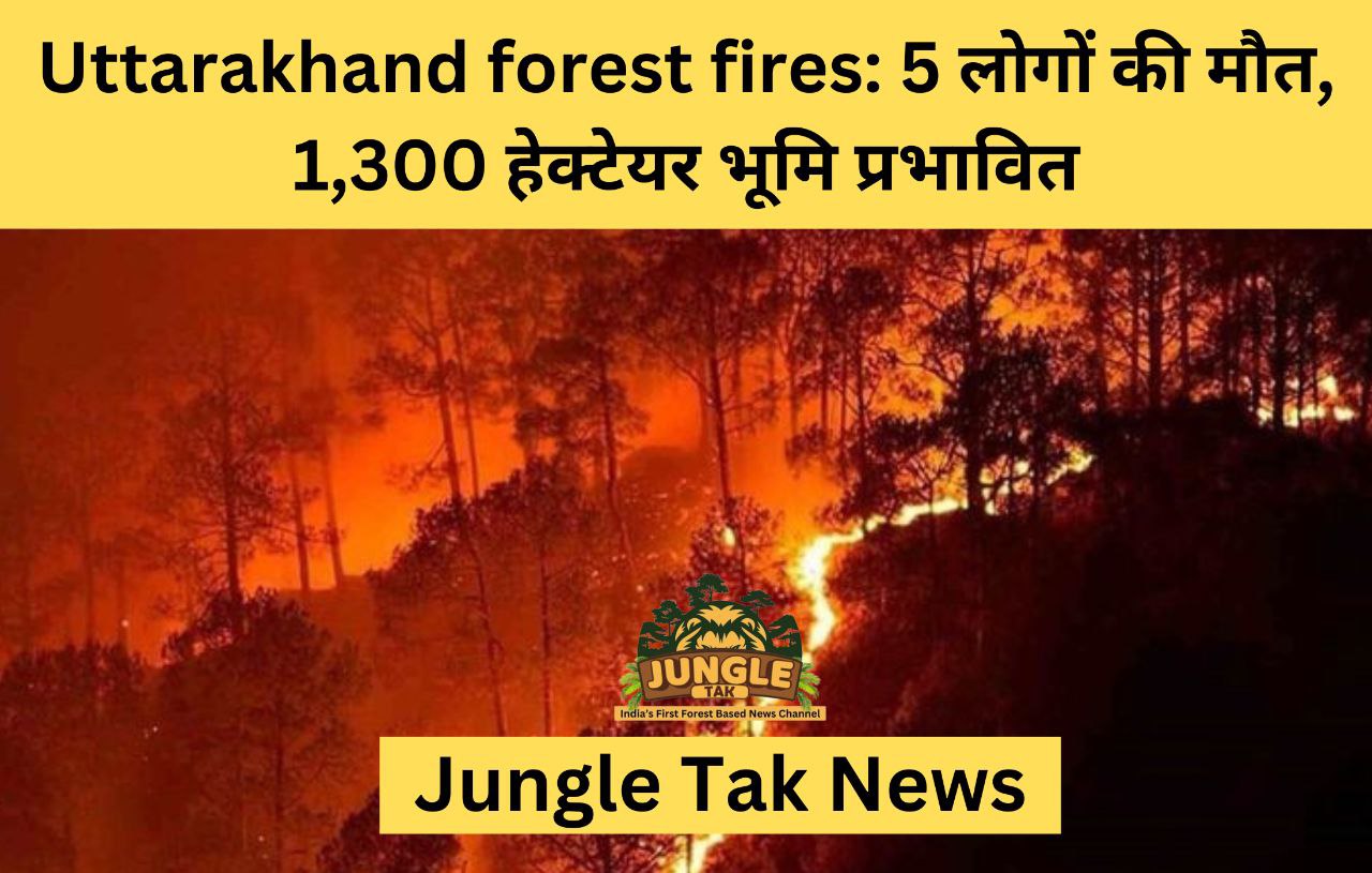 Uttarakhand forest fires: 5 लोगों की मौत, 1,300 हेक्टेयर भूमि प्रभावित, अधिकारी ने कहा- JUNGLE TAK