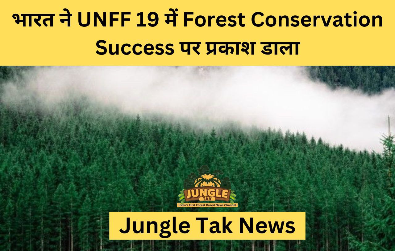 भारत ने UNFF 19 में Forest Conservation Successपर प्रकाश डाला, Global Net Forest Gain में 3rd स्थान प्राप्त किया- JUNGLE TAK