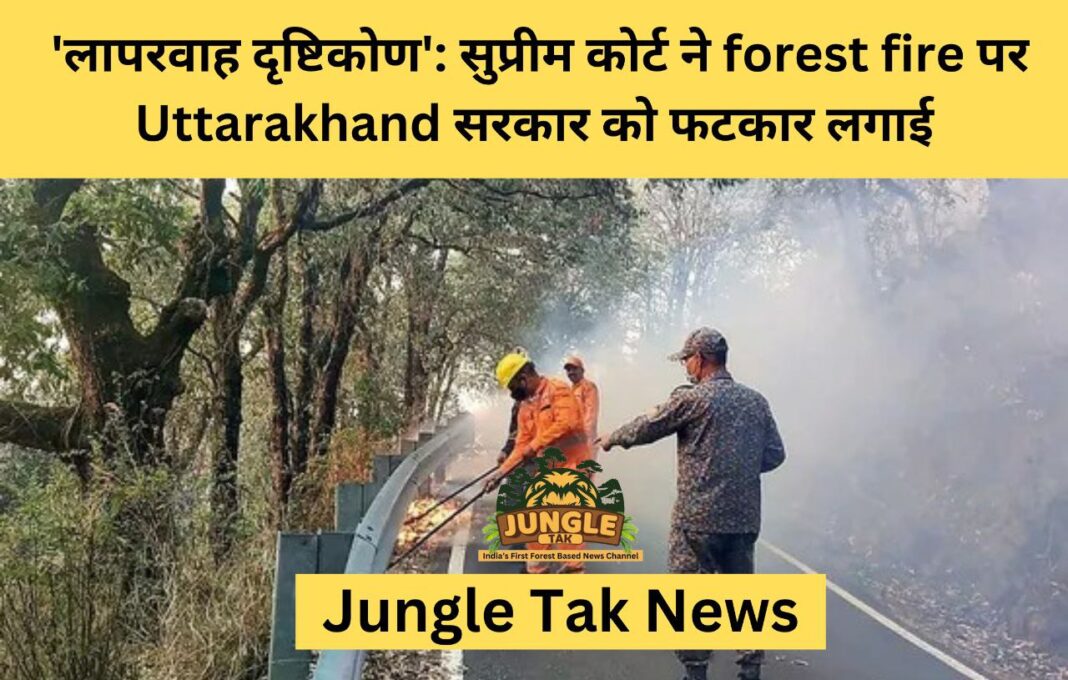 'लापरवाह दृष्टिकोण': सुप्रीम कोर्ट ने forest fire पर Uttarakhand सरकार को फटकार लगाई- JUNGLE TAK