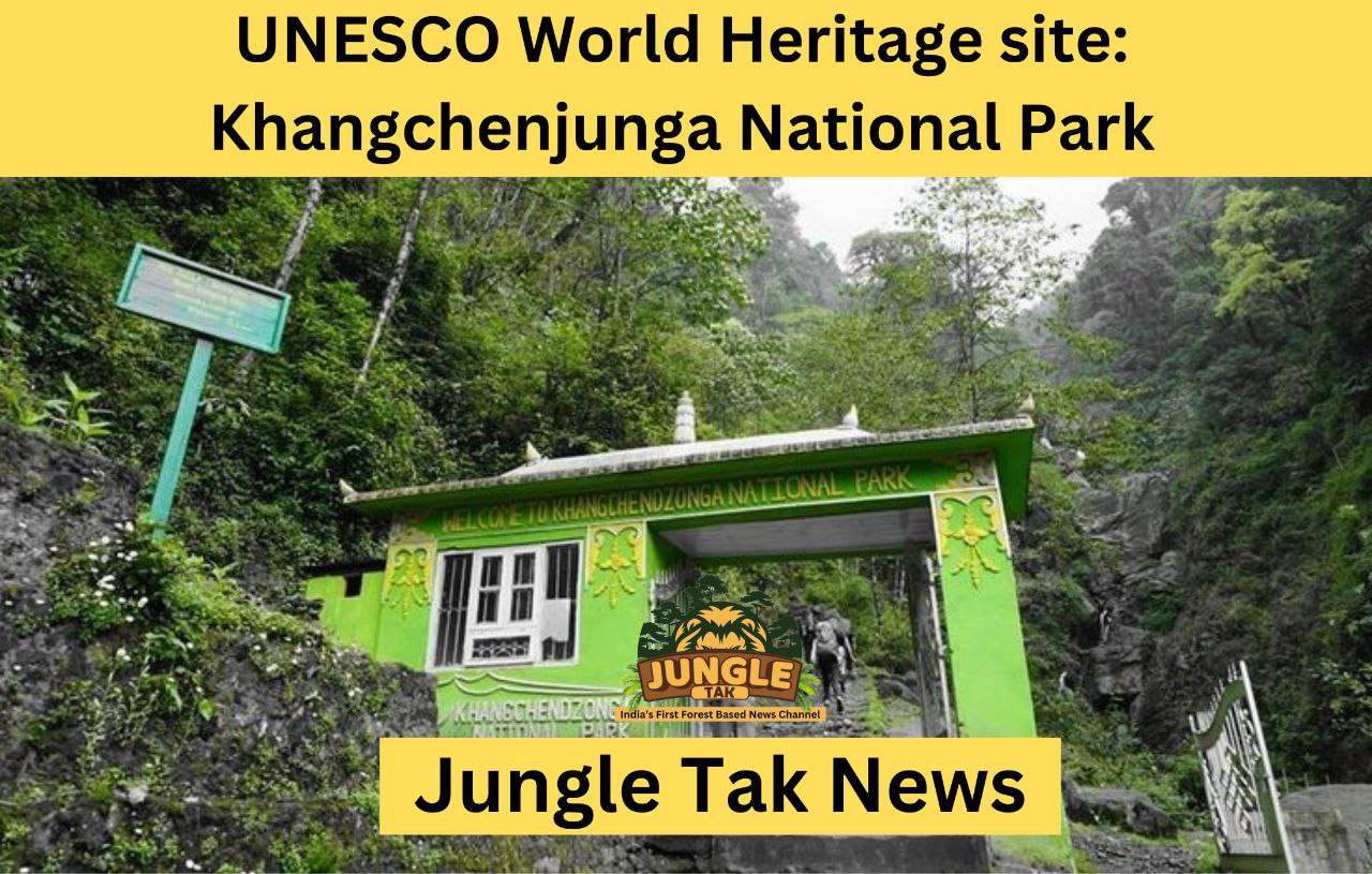 क्या आप भारत के Khangchenjunga National Park के बारे में जानते हैं जो UNESCO World Heritage site है?- JUNGLE TAK