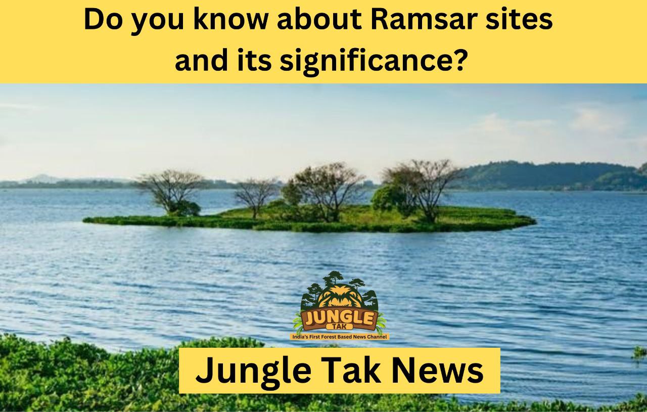 क्या आप Ramsar site और उसके महत्व के बारे में जानते हैं?- JUNGLE TAK