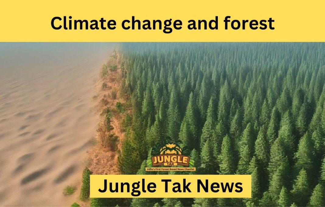 Climate change और forest- JUNGLE TAK