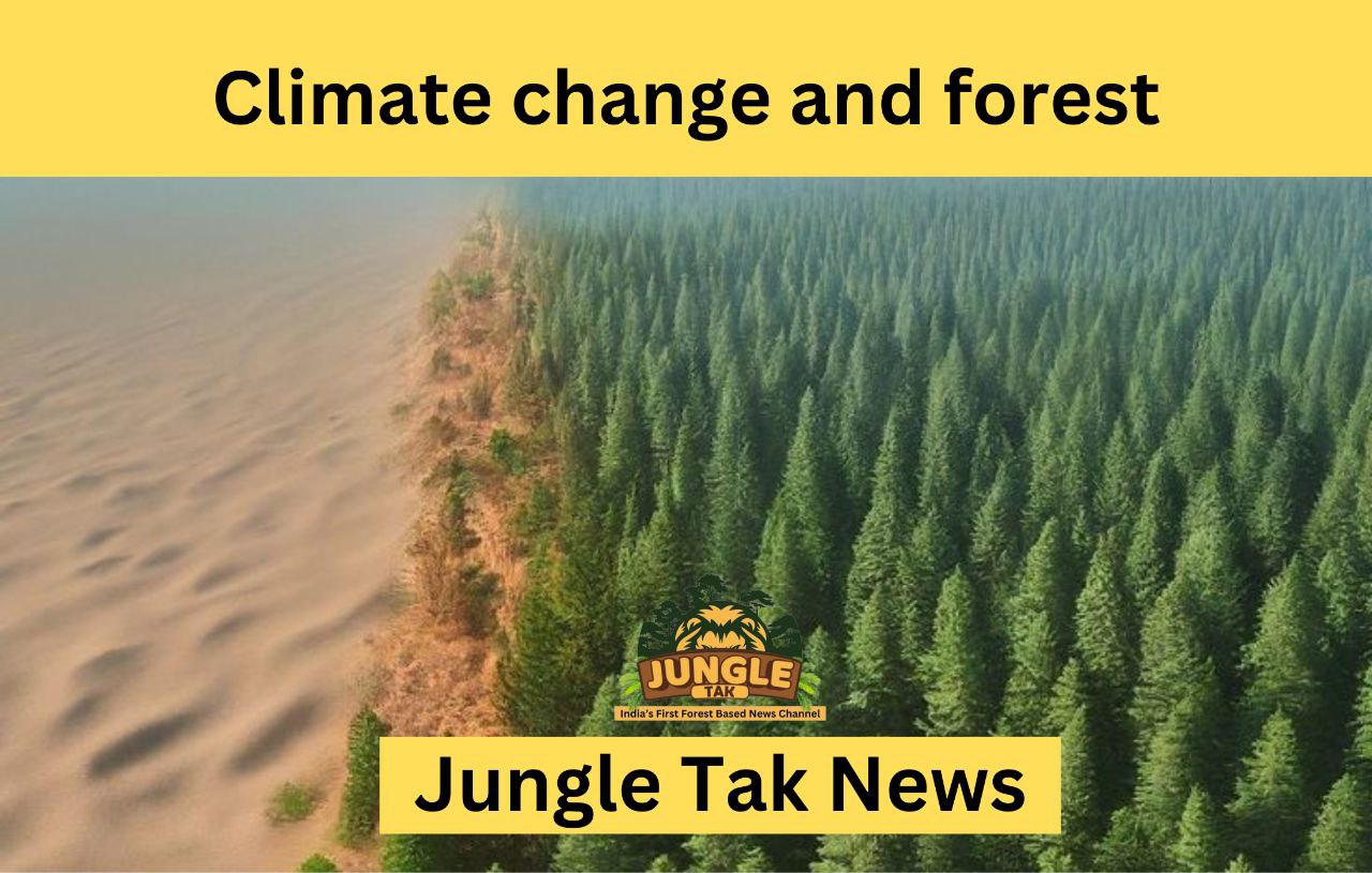 Climate change और forest- JUNGLE TAK