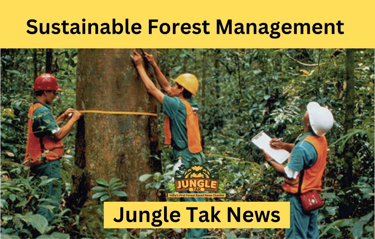 sustainable forest management- JUNGLE TAK