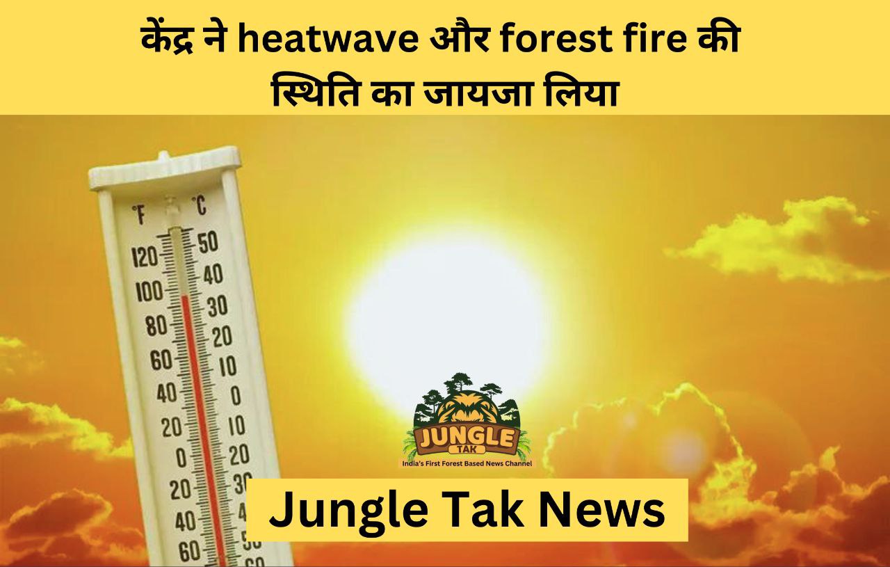 केंद्र ने heatwave और forest fire की स्थिति का जायजा लिया- JUNGLE TAK