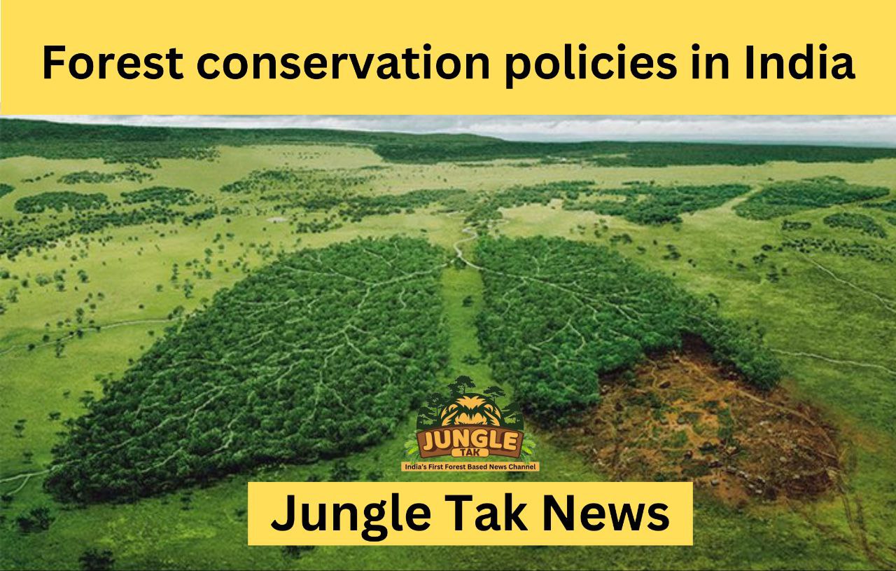 Forest Conservation Policies in India- JUNGLE TAK
