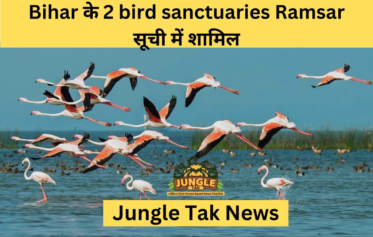 Bihar के 2 bird sanctuaries Ramsar सूची में शामिल- JUNGLE TAK
