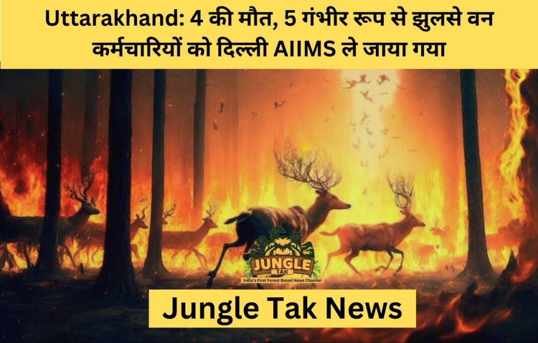 Uttarakhand: 4 की मौत, 5 गंभीर रूप से झुलसे वन कर्मचारियों को दिल्ली AIIMS ले जाया गया- JUNGLE TAK