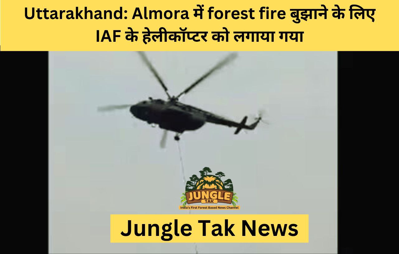 Uttarakhand: Almora में forest fire बुझाने के लिए IAF के हेलीकॉप्टर को लगाया गया- JUNGLE TAK