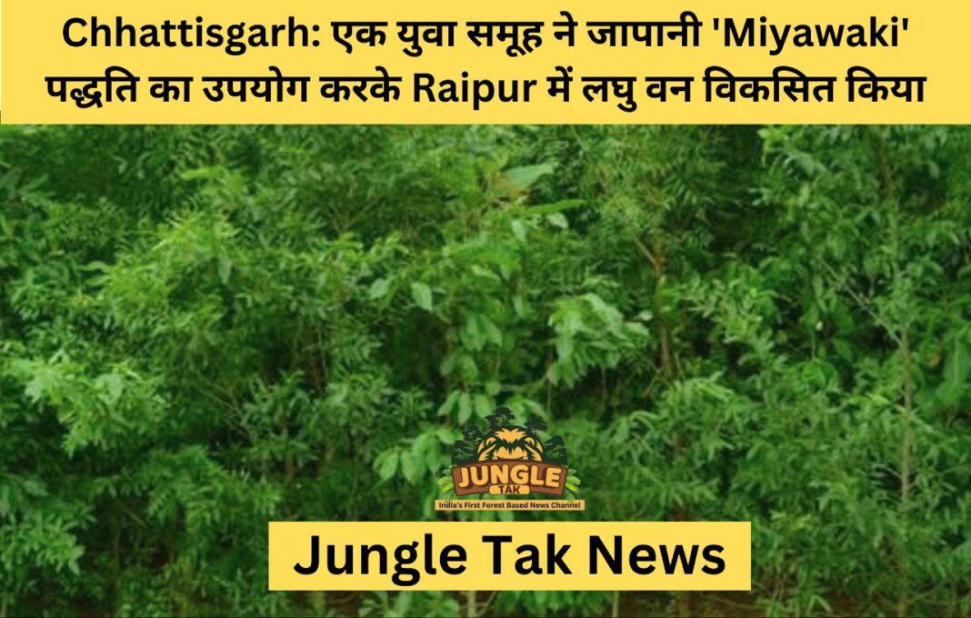 Chhattisgarh: एक युवा समूह ने जापानी 'Miyawaki' पद्धति का उपयोग करके Raipur में लघु वन विकसित किया- JUNGLE TAK