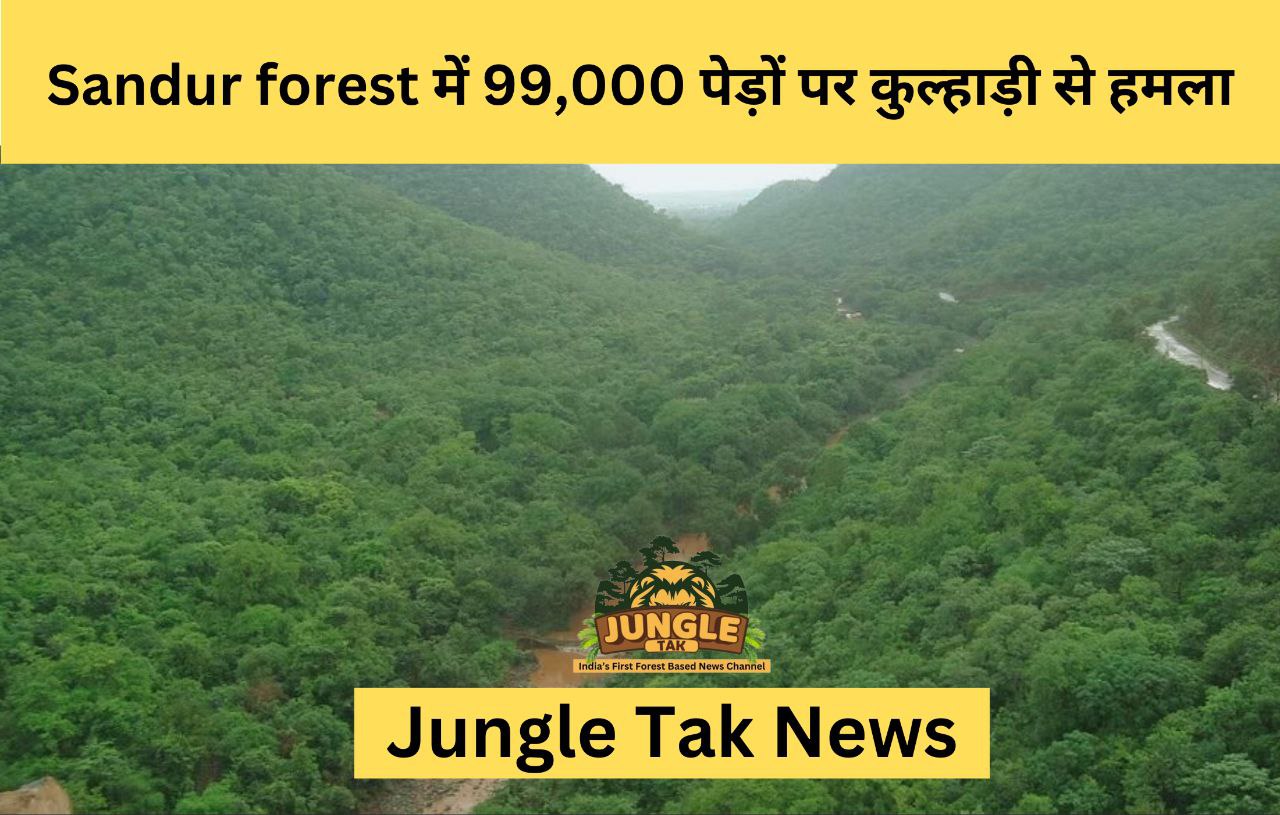 Sandur forest में 99,000 पेड़ों पर कुल्हाड़ी से हमला- JUNGLE TAK