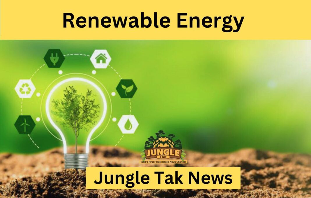 Renewable Energy- JUNGLE TAK