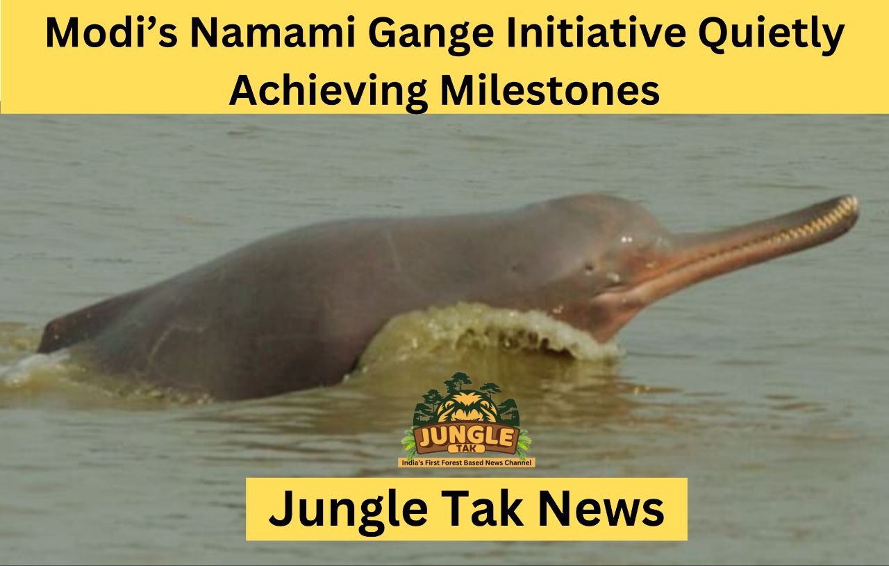 मोदी की Namami Gange Initiative चुपचाप मील के पत्थर हासिल कर रही है - गंगा और उसकी सहायक नदियों में अब लगभग 4,000 dolphins हैं- JUNGLE TAK