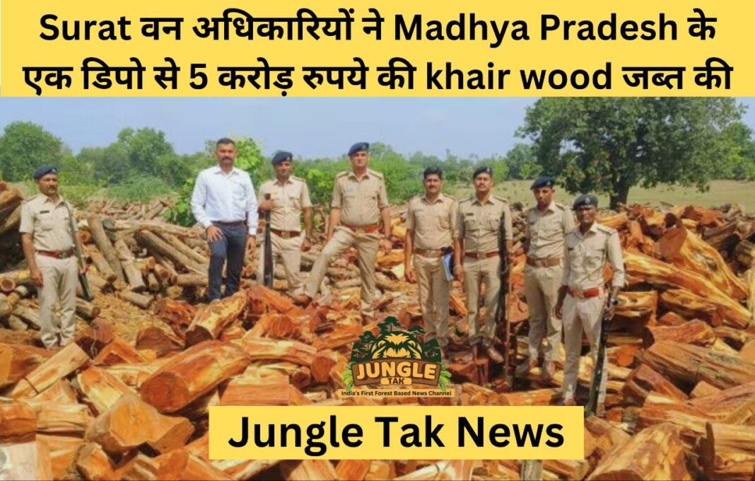 Surat वन अधिकारियों ने Madhya Pradesh के एक डिपो से 5 करोड़ रुपये की khair wood जब्त की- JUNGLE TAK