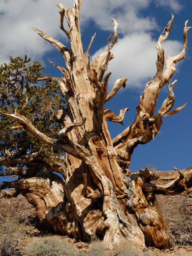 5817570636_de7aea1669_b