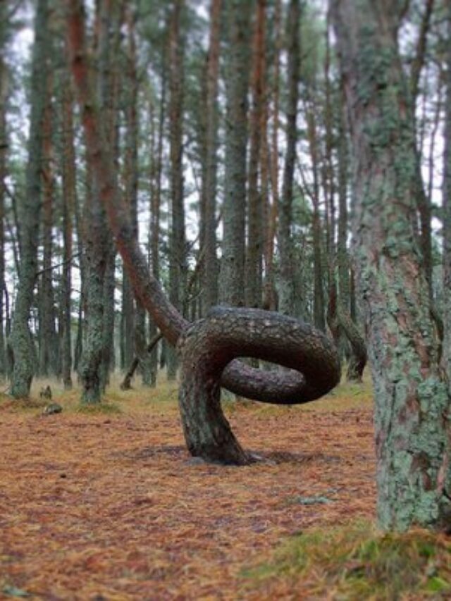 main-qimg-4e3c518d239e27a35daacc425172d67c-lq