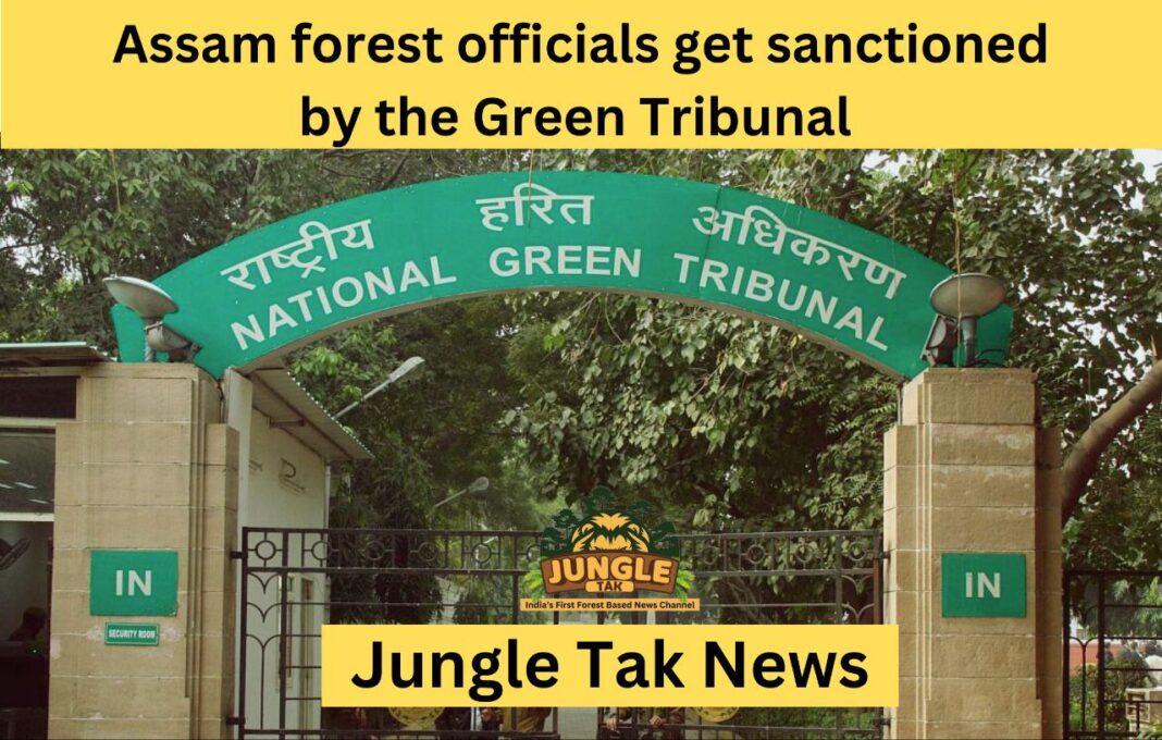 Green Tribunal ने Sonitpur में अवैध निर्माण के लिए Assam के वन अधिकारियों को फटकार लगाई- JUNGLE TAK