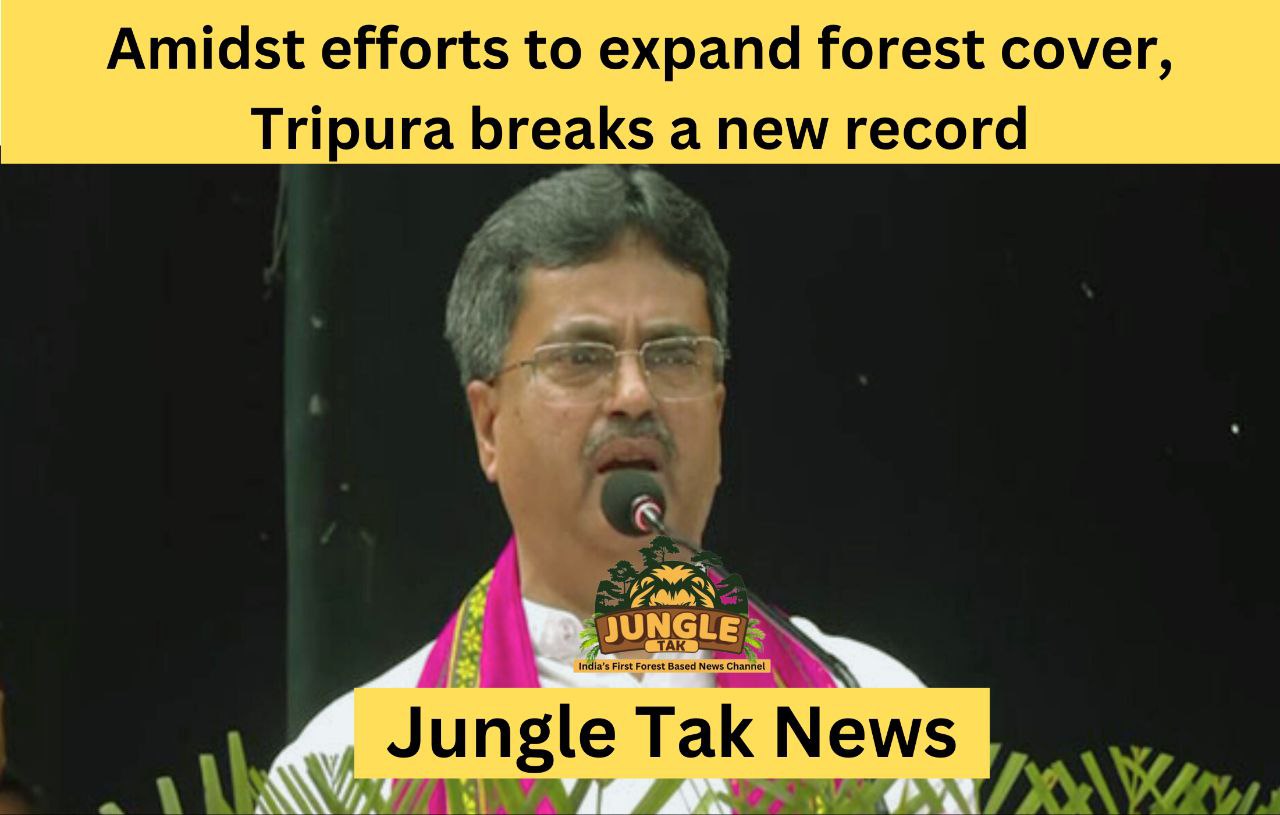 5 मिनट में 5 लाख पौधे: Forest cover बढ़ाने के प्रयास के बीच Tripura ने बनाया नया रिकॉर्ड- JUNGLE TAK