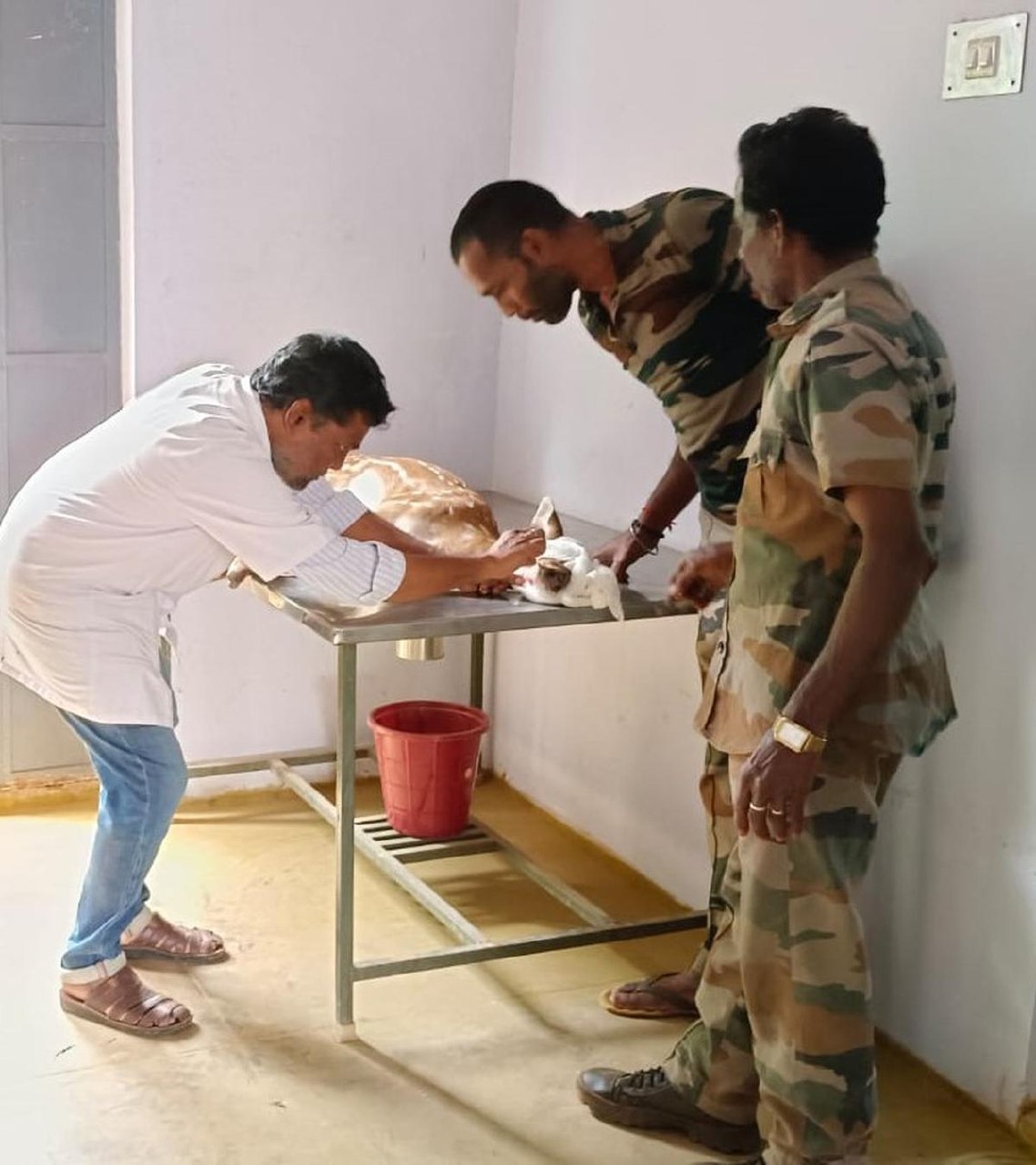 Spotted deer rescued from well, released into forest in Coimbatore- JUNGLE TAK