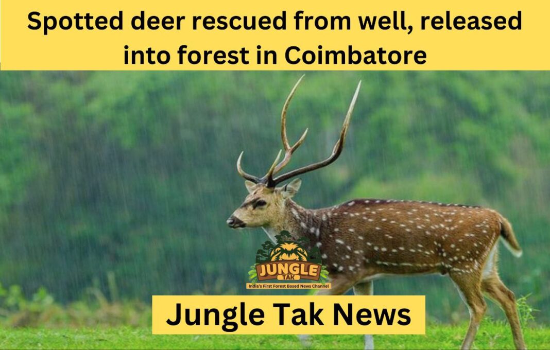 Spotted deer rescued from well, released into forest in Coimbatore- JUNGLE TAK