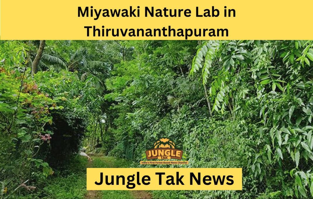 Miyawaki Nature Lab in Thiruvananthapuram gives visitors a feel of how micro-forests transform the soil and the environment- JUNGLE TAK