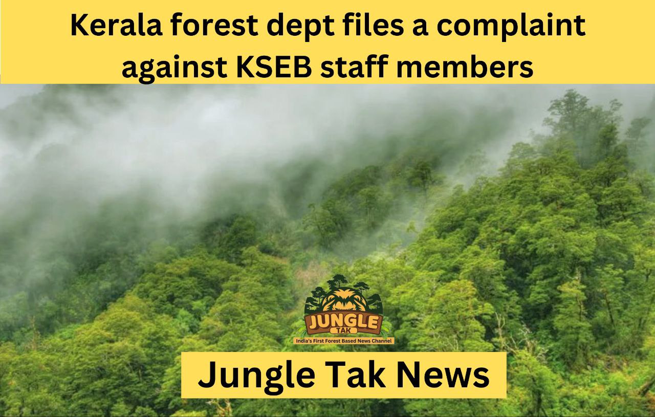 वन विभाग ने वन क्षेत्र में अनाधिकृत प्रवेश के लिए KSEB कर्मचारियों के खिलाफ मामला दर्ज किया- JUNGLE TAK