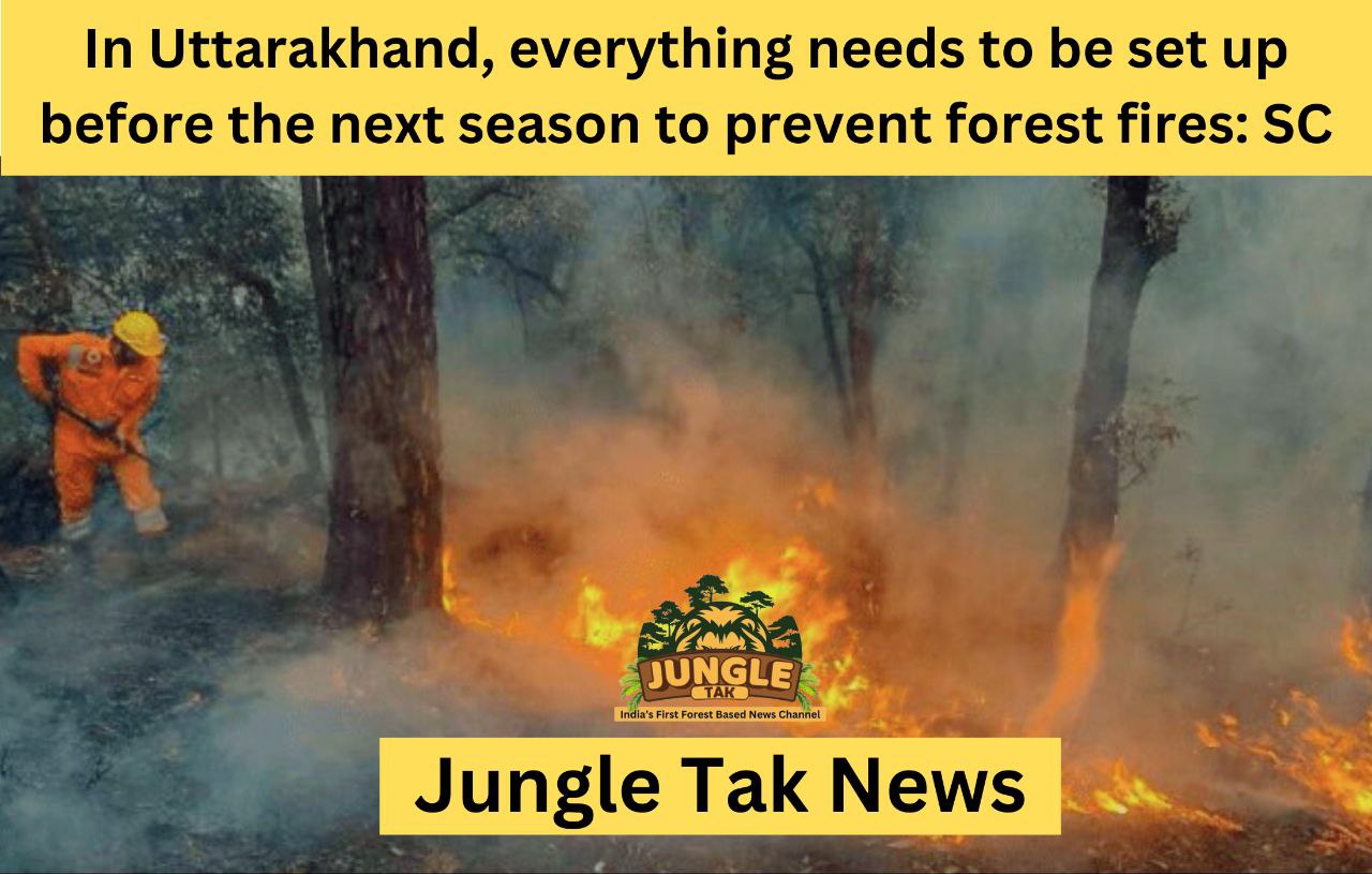 Uttarakhand में forest fire को रोकने के लिए अगले सीजन से पहले सभी इंतजाम किए जाने चाहिए: सुप्रीम कोर्ट- JUNGLE TAK