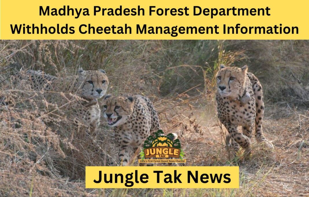 RTI आवेदन अस्वीकृत: Madhya Pradesh वन विभाग ने Cheetah Management Information रोकी-JUNGLE TAK